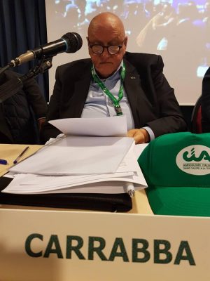 Xylella e nuove misure della Regione, CIA Puglia: "Ora tocca a Governo e Ue" - Corriere Salentino