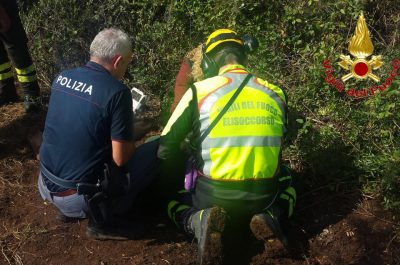 Le ricerche si concludono con un lieto fine: ritrovato Uccio, l'86enne scomparso da ieri mattina - Corriere Salentino