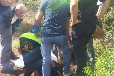 Le ricerche si concludono con un lieto fine: ritrovato Uccio, l'86enne scomparso da ieri mattina - Corriere Salentino