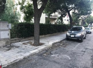 Sicurezza sulla circonvallazione, strisce pedonali poco visibili e altri rischi: interpellanza di Lidia Faggiano