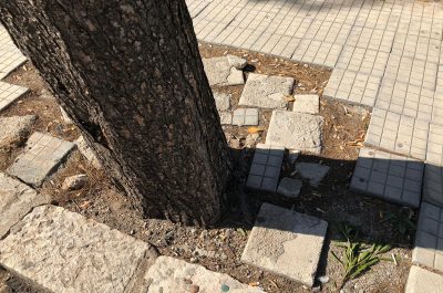 Consumatori sotto tiro, multe causate da segnaletiche “controverse” su viale Rossini, mentre tutto cade a pezzi - Corriere Salentino