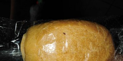 "Vermi o insetti" serviti a mensa in un asilo: scattano le verifiche, mamme sul piede di guerra - Corriere Salentino