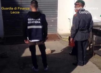 Cetrioli di mare depredati dal mare per poi commercializzarli: condannati in otto