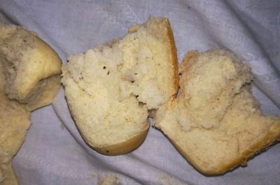Panini con vermi serviti a mensa, scattano le ispezioni: trovati farina e panini infestati - Corriere Salentino