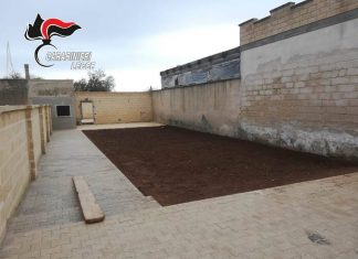 Pavimentazione realizzata senza alcuna autorizzazione in zona sottoposta a vincoli: due denunce