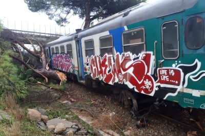 Tromba d'aria devasta azienda, sepolti marito e moglie incinta. Treno centra albero e deraglia - Corriere Salentino