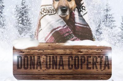 “Dona una coperta”, l'iniziativa degli scout novolesi per donare un caldo Natale anche ai randagi - Corriere Salentino