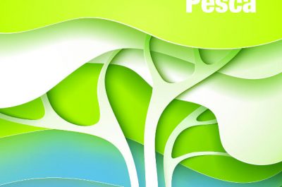 “Sportello Pesca”, il Gal terra d'Arneo punta sull'economia del mare - Corriere Salentino