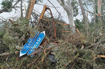 Tromba d'aria nel Capo di Leuca: devastati 20 km di costa, si contano i danni - Corriere Salentino