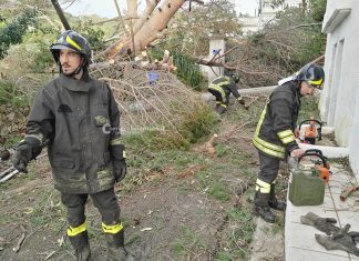 Il maestrale sferza il Salento e sradica una decina di alberi. “Pioggia” di calcinacci in città