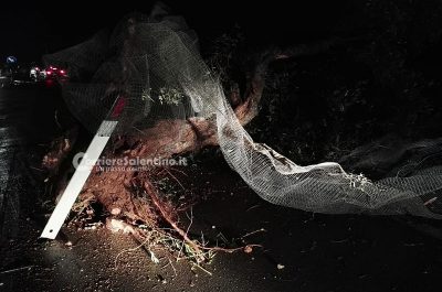 Paura per la caduta di calcinacci sul ponte della Lecce-Maglie, tromba d’aria a Tricase: chiesa e case devastate - Corriere Salentino