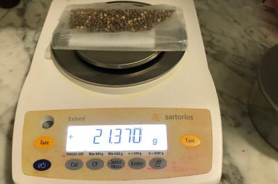 Mini serre anche nel container, blitz della Municipale al campo Panareo: sequestri e denunce - Corriere Salentino