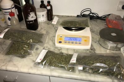 Mini serre anche nel container, blitz della Municipale al campo Panareo: sequestri e denunce - Corriere Salentino