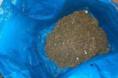 Mini serre anche nel container, blitz della Municipale al campo Panareo: sequestri e denunce - Corriere Salentino