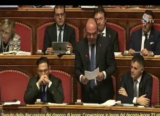 Marti: “Telecamere negli asili e nelle case di cura: lavoriamo per far passare la legge in Senato”