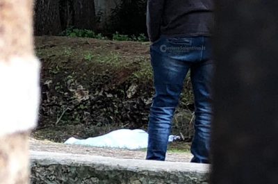 Incastrato sotto al pino tenta di liberarsi, ma un infarto lo stronca: muore 81enne - Corriere Salentino