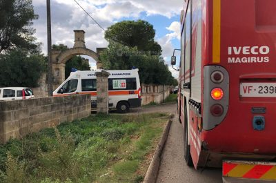 Incastrato sotto al pino tenta di liberarsi, ma un infarto lo stronca: muore 81enne - Corriere Salentino