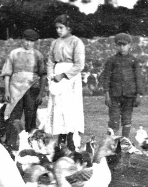 Arrivano a Lecce le reliquie di Santa Maria Goretti - Corriere Salentino