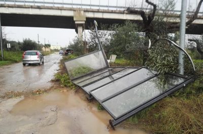 Tromba d'aria devasta azienda, sepolti marito e moglie incinta. Treno centra albero e deraglia - Corriere Salentino