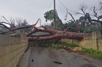Tromba d'aria devasta azienda, sepolti marito e moglie incinta. Treno centra albero e deraglia - Corriere Salentino