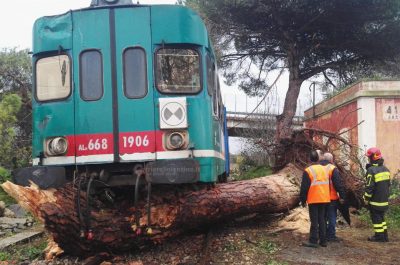 Tromba d'aria devasta azienda, sepolti marito e moglie incinta. Treno centra albero e deraglia - Corriere Salentino