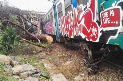 Tromba d'aria devasta azienda, sepolti marito e moglie incinta. Treno centra albero e deraglia - Corriere Salentino