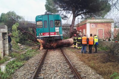 Tromba d'aria devasta azienda, sepolti marito e moglie incinta. Treno centra albero e deraglia - Corriere Salentino