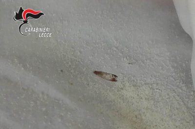 Panini con vermi serviti a mensa, scattano le ispezioni: trovati farina e panini infestati - Corriere Salentino