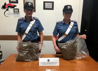 In auto con oltre due chili di marijuana e un etto di cocaina: 2 anni di reclusione ad un 36enne