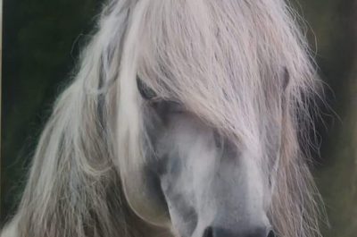 Ritorna "Syncronicart", a Nociglia la IV edizione della rassegna biennale di arte contemporanea - Corriere Salentino