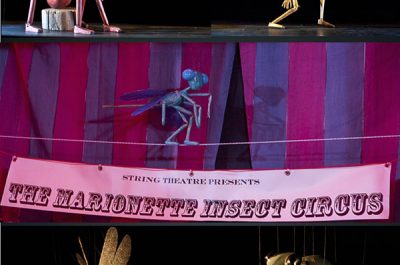 Festival Kids 2018, tutto pronto per la quinta edizione - Corriere Salentino