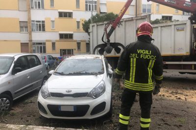 L'albero sradicato dal vento si abbatte sull'auto in sosta: paura nel quartiere Santa Rosa - Corriere Salentino