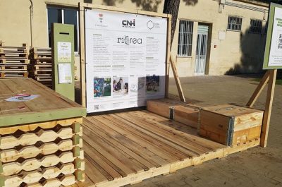 RICREA, un progetto per il riuso sostenibile nel Parco Santa Rosa di Lecce - Corriere Salentino