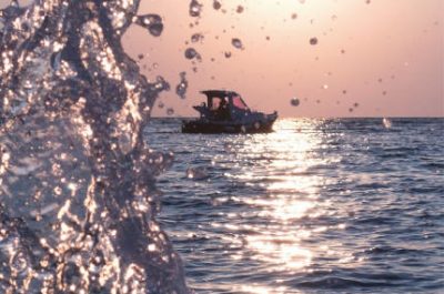 "Sulle orme della sclerosi multipla. La rinascita", domani la presentazione del libro di Maria De Giovanni - Corriere Salentino