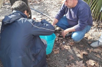 Castellino, prelevati i campioni di acqua nella falda della ex discarica - Corriere Salentino