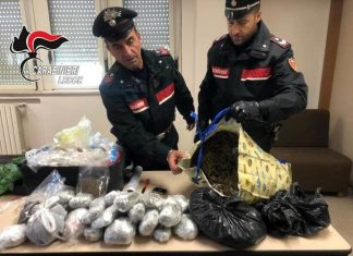 In casa nascondeva oltre 9 chili di marijuana: 23enne patteggia 3 anni