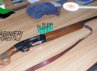 A caccia di notte con faretto e fucile, bracconiere denunciato