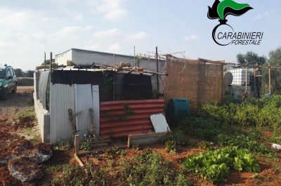 Lavori in zona agricola realizzati senza i titoli abilitativi richiesti: scattano due denunce - Corriere Salentino