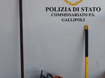 Colti sul fatto mentre tagliano gli ulivi con una sega per rubarli: ai domiciliari due 25enni - Corriere Salentino