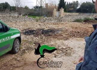 Scarica rifiuti su un terreno agricolo, nei guai imprenditore edile