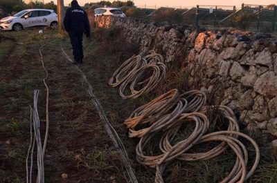 Sradicano i cavi dell'impianto fotovoltaico, ma arriva la vigilanza e il furto sfuma - Corriere Salentino