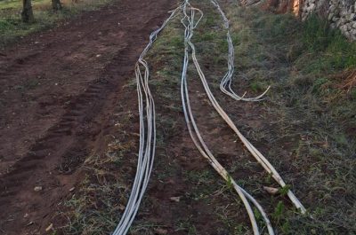 Sradicano i cavi dell'impianto fotovoltaico, ma arriva la vigilanza e il furto sfuma - Corriere Salentino