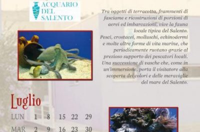 Rete museale neretina, nel 2018 oltre 20mila visitatori - Corriere Salentino