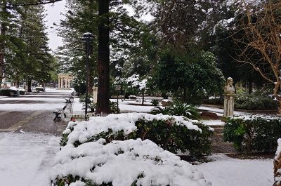 Risveglio sotto la neve per Lecce e provincia, disagi alla circolazione e molti uffici chiusi - Corriere Salentino