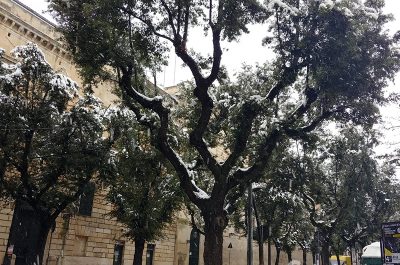 Risveglio sotto la neve per Lecce e provincia, disagi alla circolazione e molti uffici chiusi - Corriere Salentino