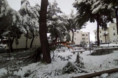 Risveglio sotto la neve per Lecce e provincia, disagi alla circolazione e molti uffici chiusi - Corriere Salentino