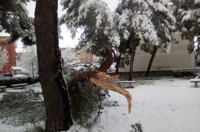Risveglio sotto la neve per Lecce e provincia, disagi alla circolazione e molti uffici chiusi - Corriere Salentino