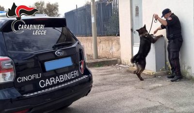 Spacciò droga a minorenni nel periodo estivo, per un 27enne scattano i domiciliari - Corriere Salentino