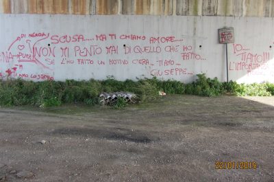 La REI lancia l’allarme dopo due denunce: Immondezzaio a cielo aperto di amianto a Galatone” - Corriere Salentino