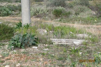 La REI lancia l’allarme dopo due denunce: Immondezzaio a cielo aperto di amianto a Galatone” - Corriere Salentino